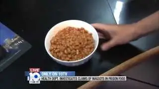 PrisonMaggots