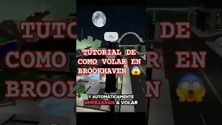 Tutorial de c&oacute;mo volar en Brookhaven 😱🙀#robloxfyp #Brookhaven #subirshort