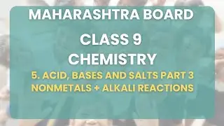 Class 9 | Chemistry - Acid Base Salt : Nonmetals + Alkali Reactions | Maharashtra State Board