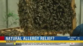 Allergy sufferers believe in honey
