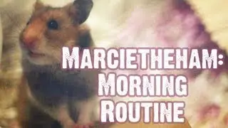 Marcietheham: Morning Routine