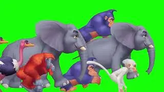 THE STAMPEDE GREEN SCREEN ! #greenscreen @VfxKarki5 @vfxhd @vfxnaveed @GSA @GreenScreenBrasil