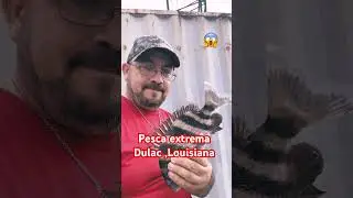 D&iacute;a de pesca mi gente Dulac Louisiana ‼️😱😎‼️⚠️#pesca #dulac #louisiana #fishing