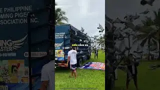 Giải đua chim bồ c&acirc;u 3 tỷ đồng 🕊️😯