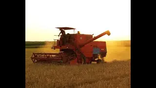 🌾jęczmień2024🌾oporowo🔥Bizon Super🌾Z056🌾🔥GR_Krzewiński💪
