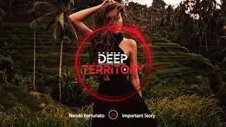 Nando Fortunato - Important Story | Curiosity: The Untold Story of Nando Fortunato | Deep House