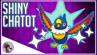 Hey Look. A Shiny Chatot.