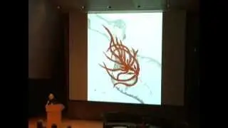 Patricia Johanson at the 2011 A+E Conference - Full version