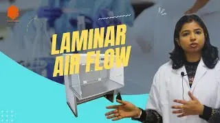 Mastering Laminar Airflow: Principles, Working, and Laboratory Tips | Biotech Essentials