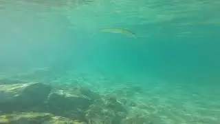 Comment p&ecirc;cher avec un JIB by Smith.ltd