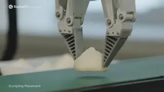 Dumpling Pick & Placement | SigmaKit Application | CarbonSix