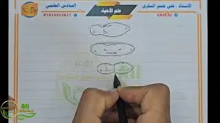 تعلم رسومات كتاب الاحياء السادس العلمي ( الفصل الثالث الانشطار الثنلئي في البراميسيوم ) 