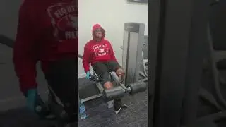 Anytime Fitness Leyton Leg Extensions