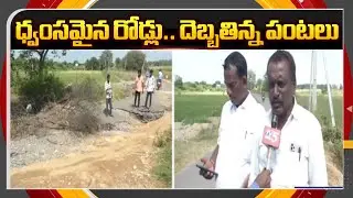 Montha Toofan Effect In Karimnagar District | Huge Crop Loss In Karimanagar | TV5 NewsApT