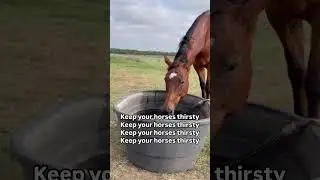 You can lead a horse to water, but with Hydrate + Recover&trade;, you can make them drink  💧🐴