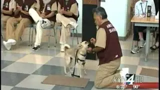 Prisoners train dogs with behavioral problems