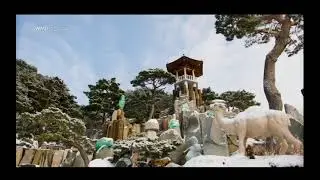 명곡 사랑의 감사 노래:정명석 #jms#정명석 #월명동 #기독교복음선교회