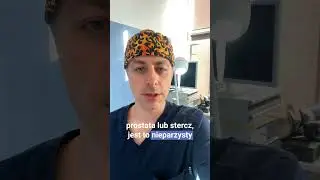 Prostata a erekcja - czy mają ze sobą coś wsp&oacute;lnego?