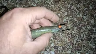 Live mullet rigging method