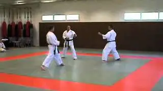 Demonstration kata Wanshu de l'AshKarate Wado-Ryu. Jean Tharsile.