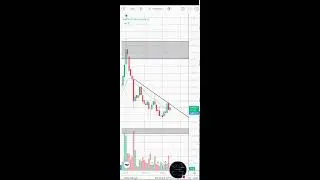 Crypto live Streaming trading