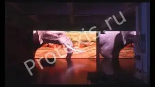 P20-DIP-Virtual. Слева - 13000Кд, справа - 7000Кд.