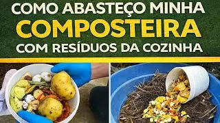 Como Abasteço Minha Composteira com Resíduos da Cozinha | Dicas para Acelerar o Processo