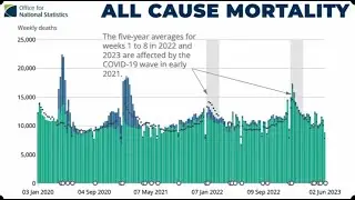 Exercise Cygnus and the UK Covid&ndash;19 Inquiry - UK Column News