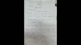 Perforation of Tympanic Membrane.. BSC Nursing 