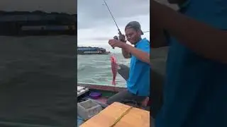 Mancing asik..