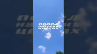 ты &mdash; мой август#fyp #рек #lyrics #aesthetic #лето2025 #summeredit #mood #тренд #editvideo #тёплый