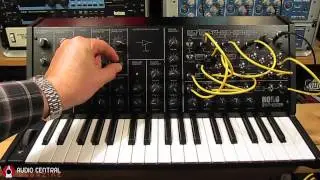 KORG MS-20mini The Self Triggering Patch