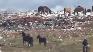 GRAN ESTAFA AL PUEBLO DE PASO DE LOS LIBRES
