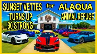 What Makes These Outstanding Corvettes So Extremely Popular?