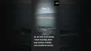 Beneath the Waves: Exploring the Most Intriguing Ocean Mysteries and Legends - part 3