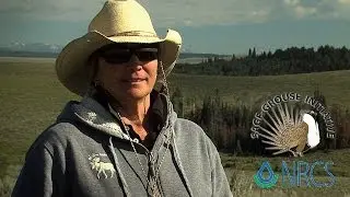 Sage-Grouse Initiative (SGI) - WYOMING