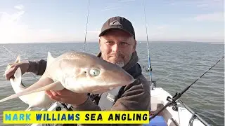 Mark Williams Sea Angling - introduction 2