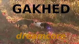 React to GAKHED Cats Music Videos (Latest One, and One Older)