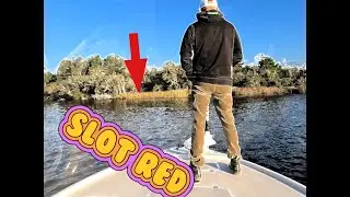 Bay Fishing in Bay St. Louis MS