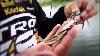 Tour Grade Painted Blade Spinnerbaits Commercial