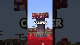 The Minecraft Creepers You've Never Seen