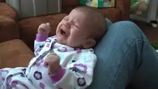 Baby Colic Crying Scream Tantrum Sound Effect Is Temper Tantrum For Download