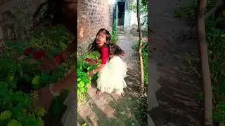 Teri Dulhan sajaungi Anshika's blog YouTube short video