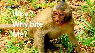 Poor orphan Jessie cry&cry so loudly angry Dana,Dana fight Jessie confuse reason she bite Donny
