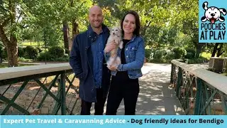 Dog friendly ideas for Bendigo and surrounds - Expert Dog Travel Advice | S5 Ep5 | Pooches at Play