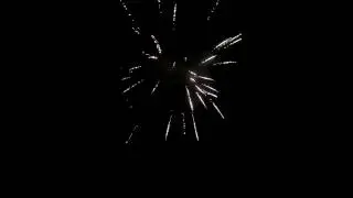 Silvester2016 /       680  Schuss in 6,5 min.