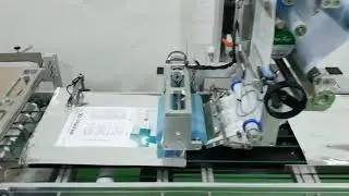 Automatic pouch feeder and labeling machine