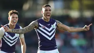 Michael Walters Highlights | Round 23