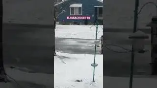 #citydiscovery #citywalking #topcities #topcountries #travel #vlog #snow #winter #brockton #boston