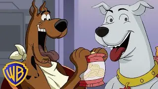 ¡Scooby-Doo conoce a un superamigo! | Scooby-Doo en Español🇪🇸 | @WBKidsEspaña​